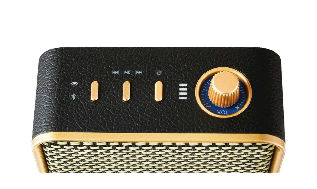 Speaker